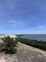 Экскурсия "Путешествие к белым дюнам и синему морю: Куршская коса" - фото отзыва 1