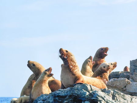 Остров Путятина