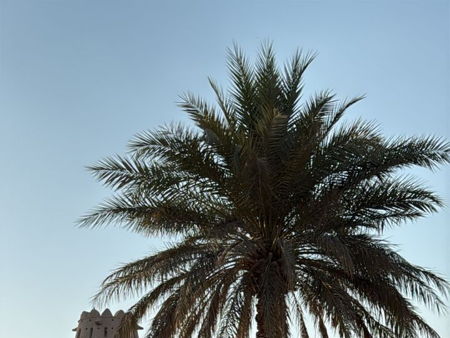 Крепость Аль-Хейл