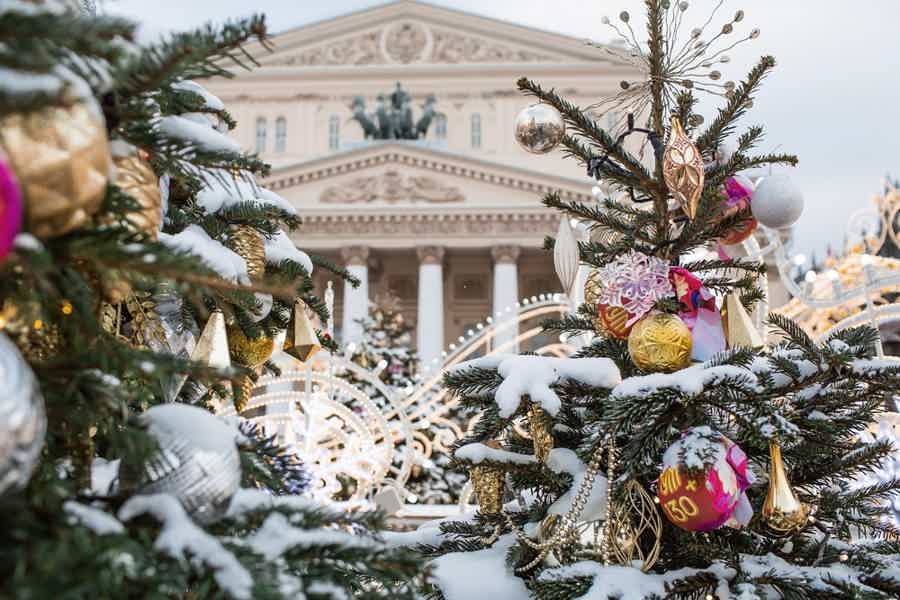 Индивидуальная обзорная экскурсия для школьных групп по новогодней Москве - фото 3