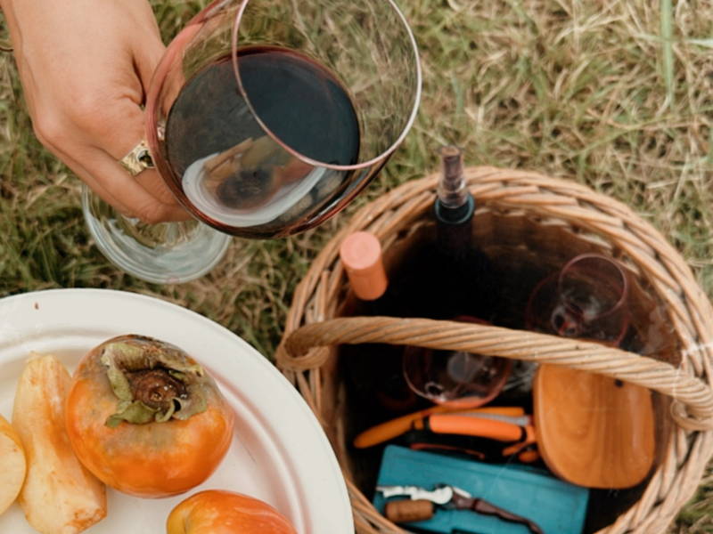 Авторская экскурсия из Тбилиси: в гости к виноделу.
