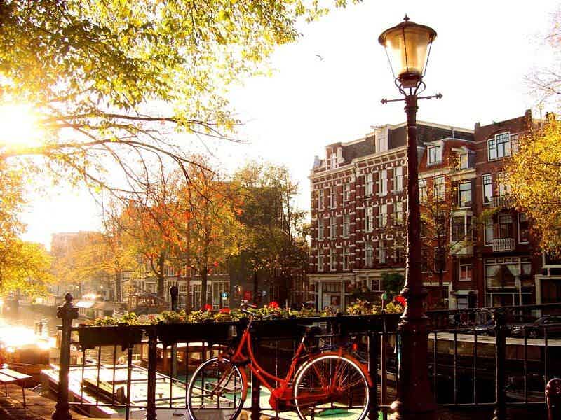Амстердам для своих (для людей с ограниченными физическими возможностями) - фото 5