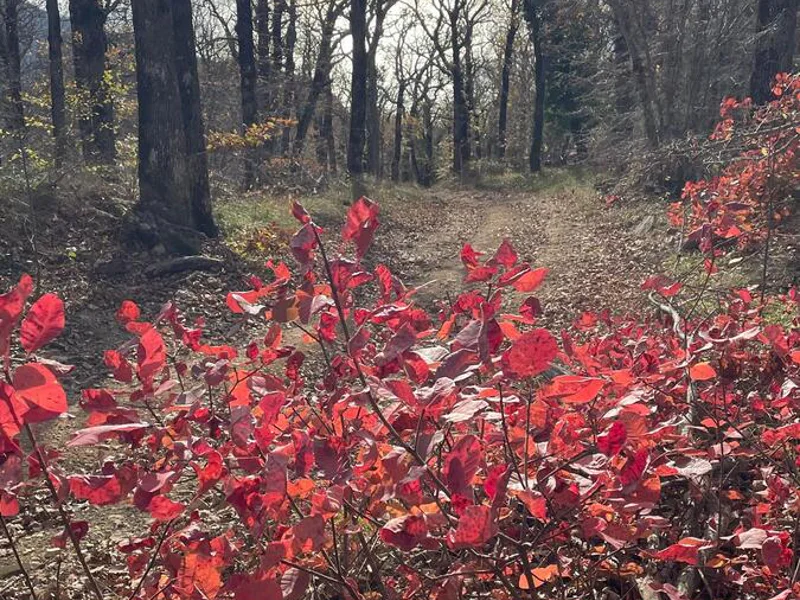 Пеший поход из Джанхота к скале Парус — фото 4, Геленджик | Покатаем