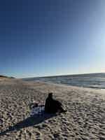 Экскурсия "Индивидуальная поездка на Куршскую косу, в Зеленоградск и замок Нессельбек " - фото отзыва 4