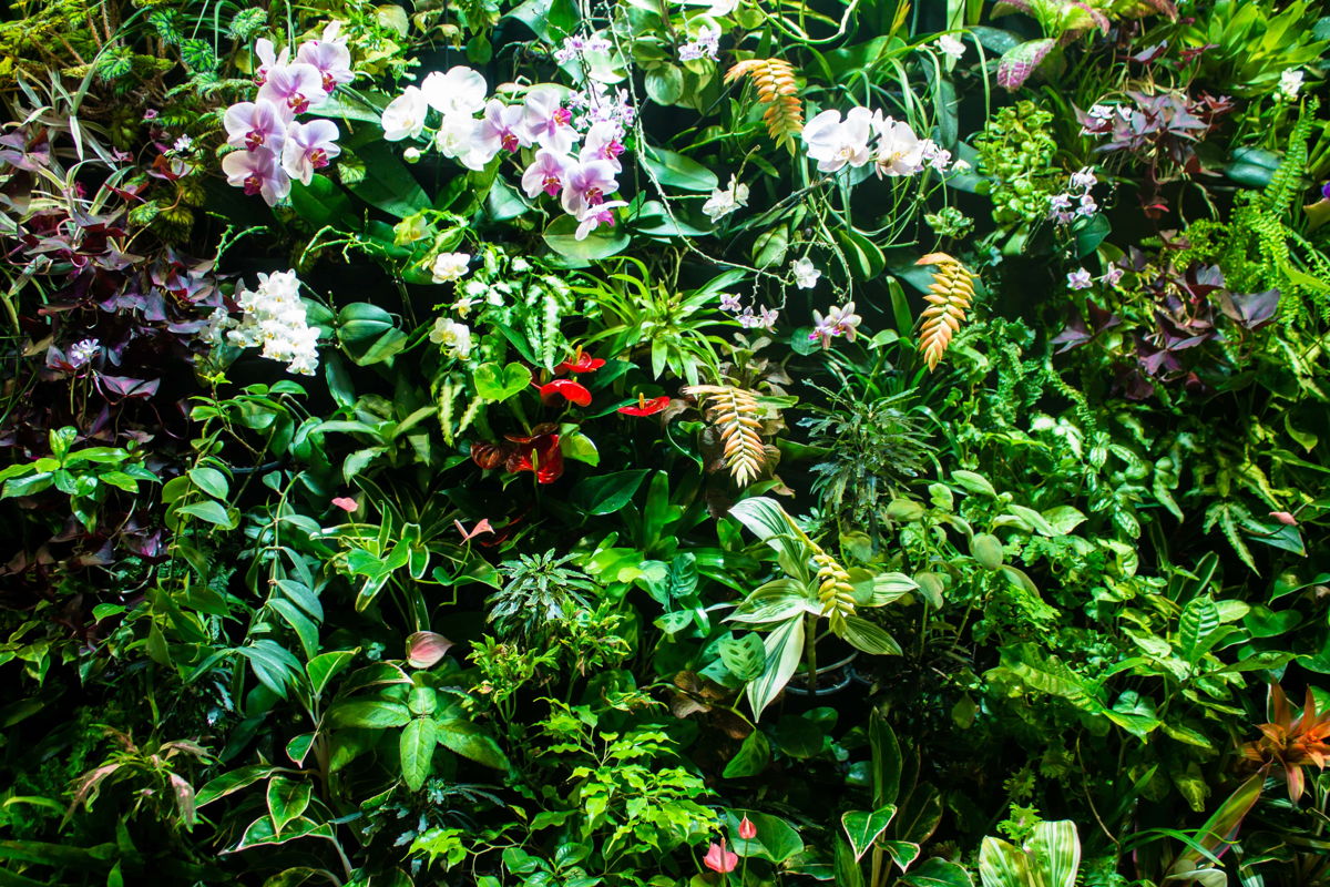 Ботанический сад