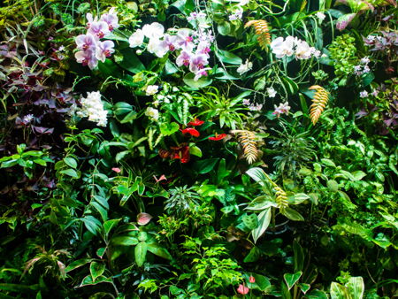 Ботанический сад