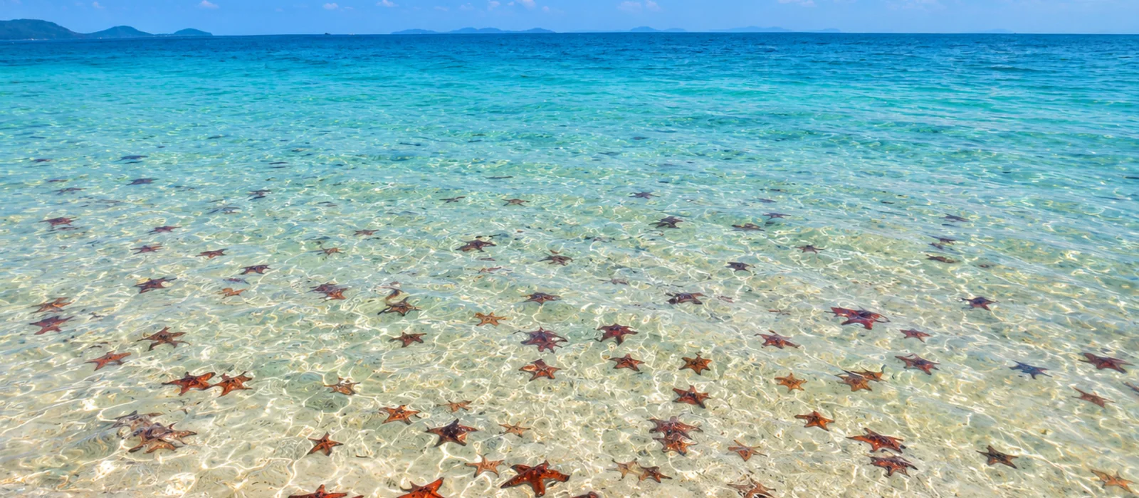 Жемчужная ферма в море + пляж морских звёзд: групповой тур — экскурсия, Фукуок, Вьетнам | Покатаем