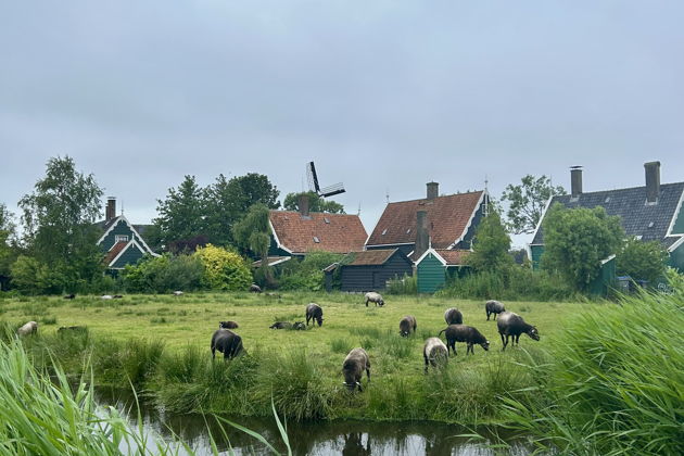 Фото к экскурсии Франция, Бельгия, Голландия с экскурсиями на выбор