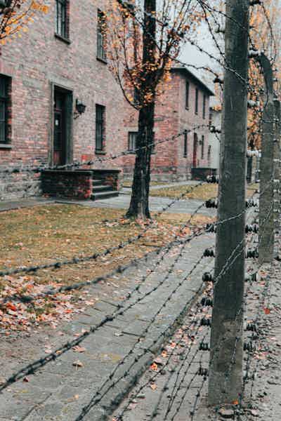 Ab Krakau: Auschwitz-Birkenau & Salzbergwerk - Tagestour - photo 2