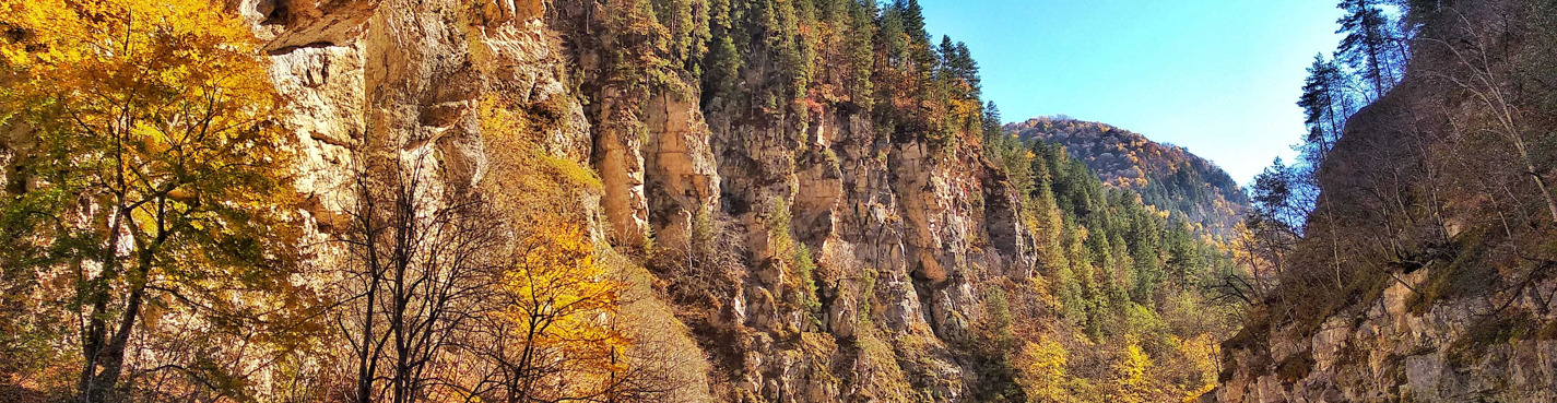 Дивные красоты Шароя