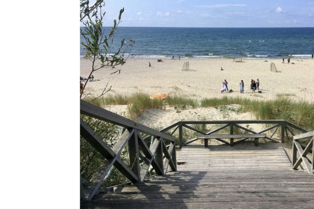 Виды Танцующий лес и поющие пески: на Куршскую косу в мини-группе