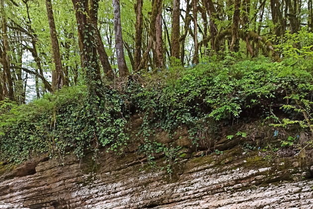 Виды На внедорожнике по Сочи в мини-группе: ущелье и каньоны