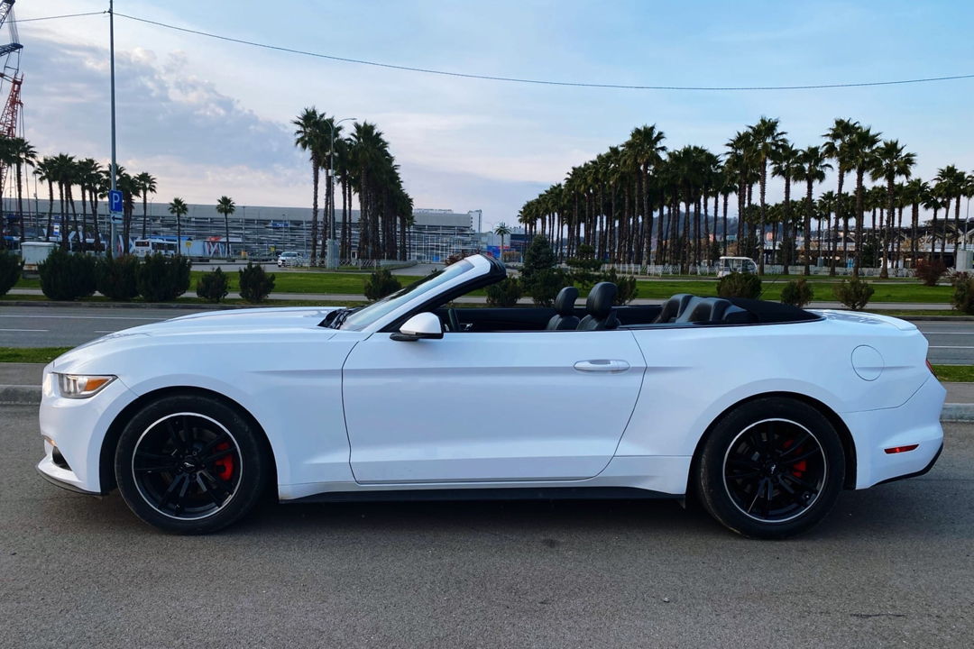 Горный драйв: на кабриолете Ford Mustang по Сочи и курортам Красной Поляны — фото 5
