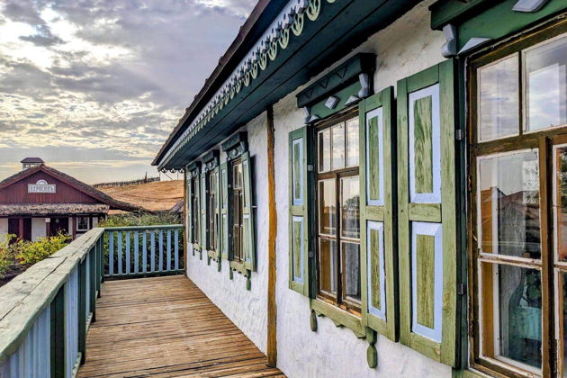 Виды Хутор Старозолотовский  с посещением поля хризантем