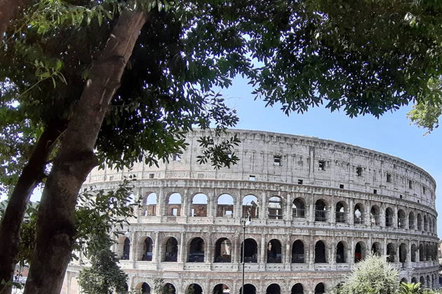 Виды Первая встреча