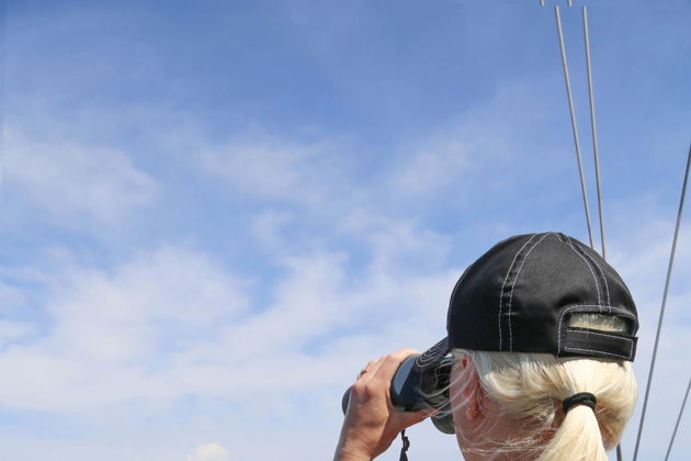 Виды Подарочные сертификаты с прогулкой на парусной яхте