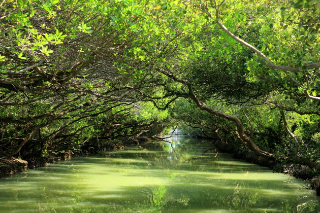 Главное изображение экскурсии - Однодневная экскурсия по Тайбэю из Гаосюна или Тайнаня