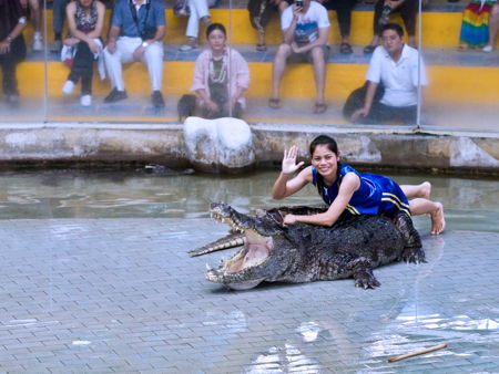 Крокодиловая ферма