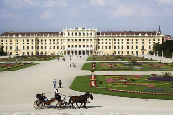 Индивидуальная экскурсия в Дворец Шенбрюнн