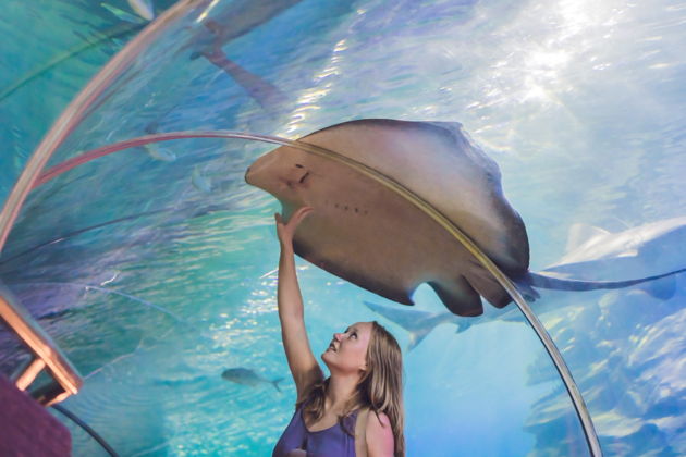 Виды Входной билет в Lost World Aquarium