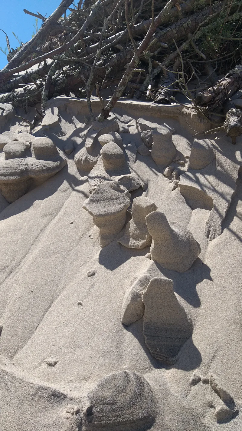 Путешествие к белым дюнам и синему морю: Куршская коса — фото 7