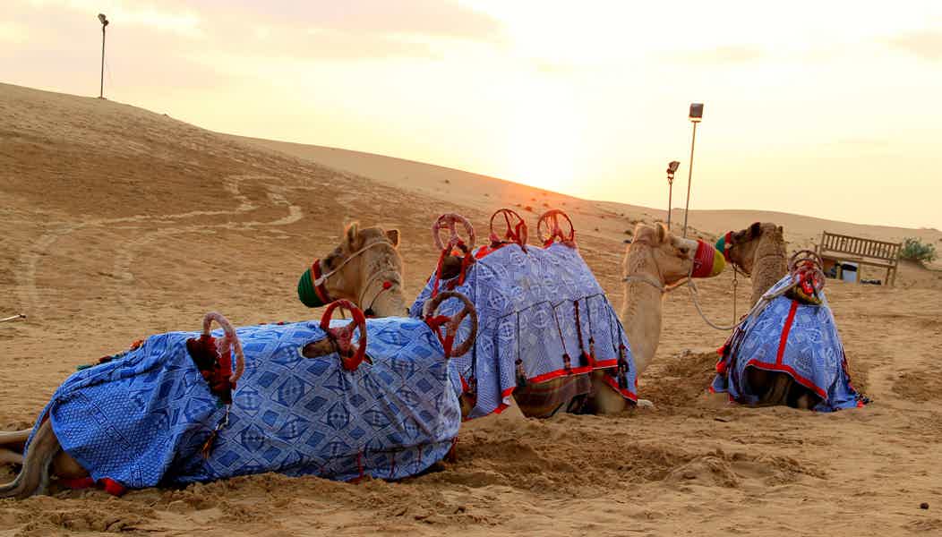 Сафари в пустыне — для тех, кто любит экстрим - фото 5