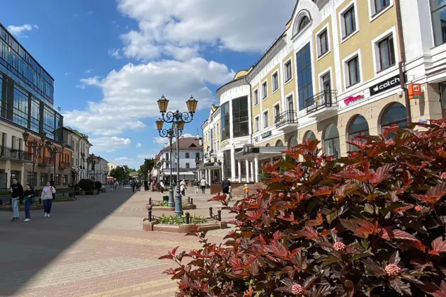 Трансфер в Брест, Брестскую крепость, Беловежскую пущу из Минска — фото 2