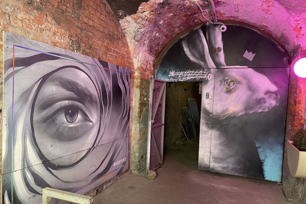 Виды Авторская прогулка по стрит-арт дворам 