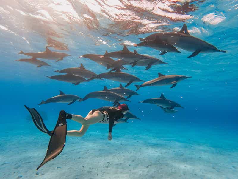 Круиз с дельфинами и сноркелинг на рифах Сатайя с обедом - фото 2