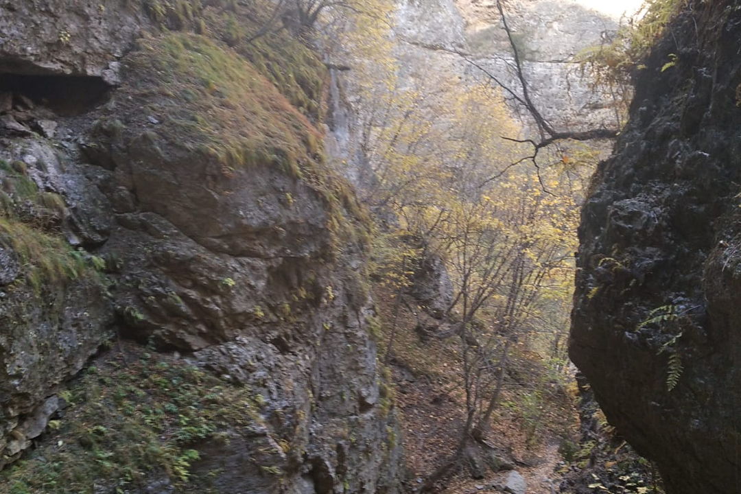 Урочище Джилы-Су: через плато к водопадам — фото 7