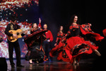 Входной билет на шоу фламенко в Tablao Flamenco Las Setas
