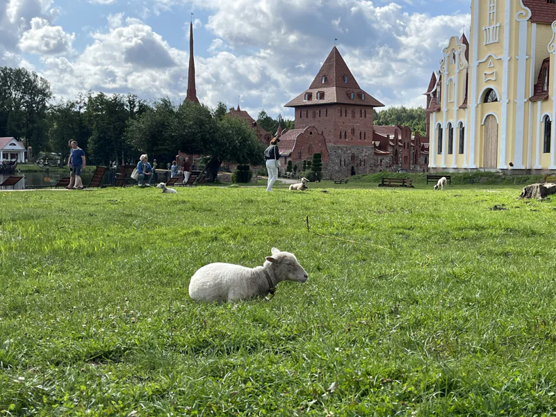Экскурсия по парку истории «Сула»: путешествие сквозь эпохи — фото 2, Минск | Покатаем