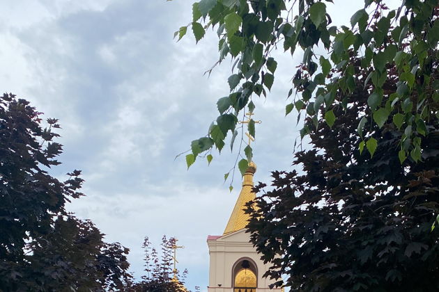 Виды С равнины — в горы Чечни