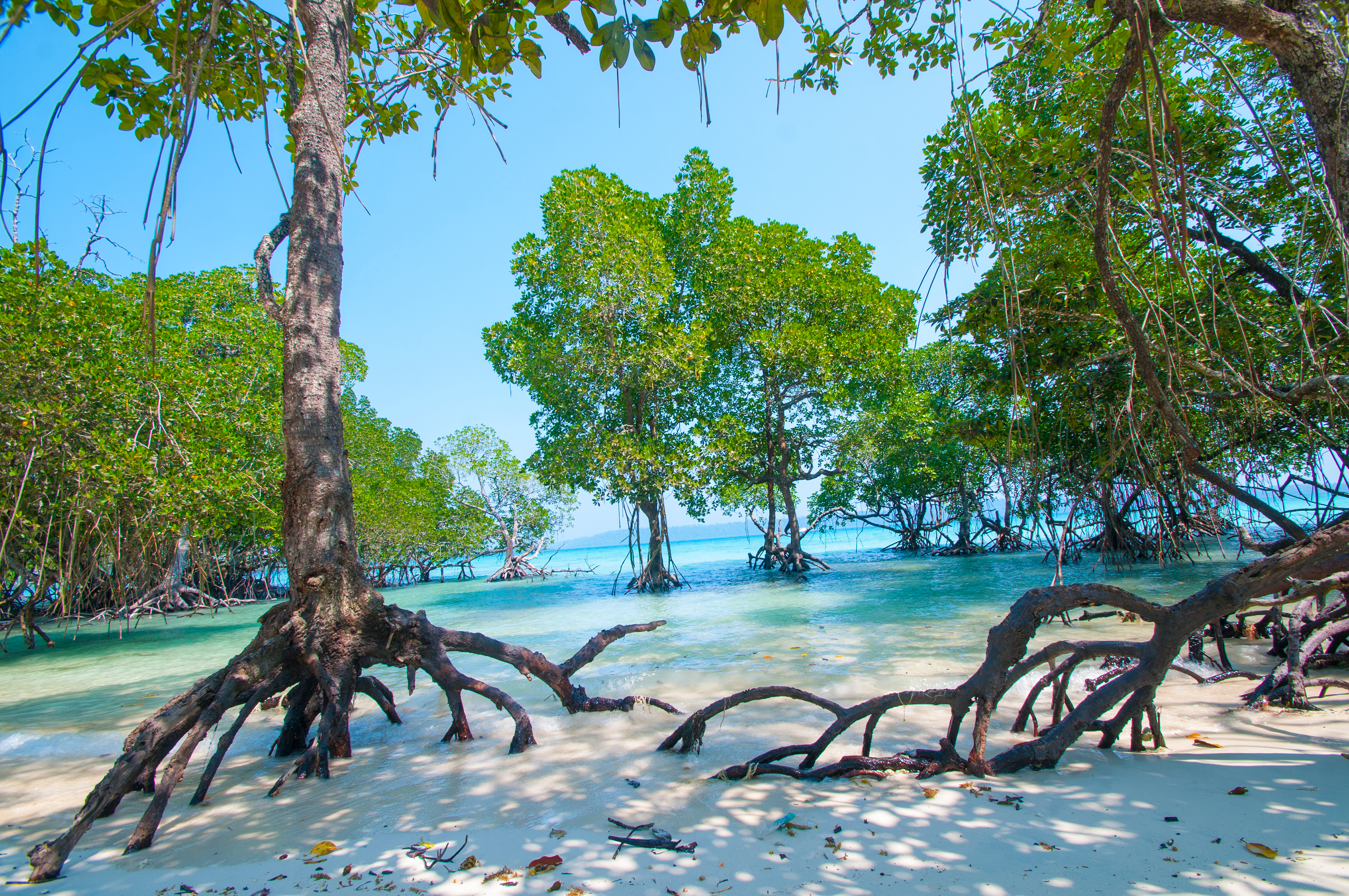 Андаманские острова: тропический рай на 3 ночи/4 дня (2/4)
