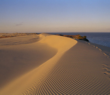 Долгая дорога в дюны