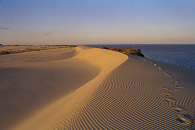 Долгая дорога в дюны: национальный парк Куршская коса — Калининград