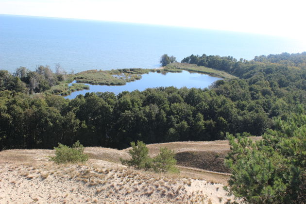 Виды Куршская коса — первое свидание