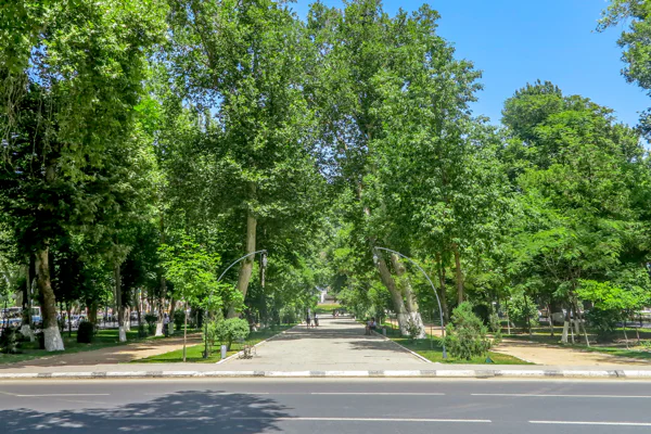 Samarkand with a Russian soul: a walk in a small group — photo 3, Samarkand | Pokataem