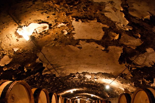 Виды Обзорный винный тур по Тбилиси