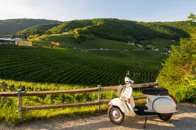 Tuscany by Vespa Full-Day Tour to Chianti Wine Region   