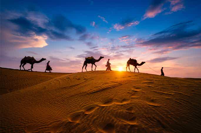 «Арабская ночь» в пустыне — экскурсия на верблюдах только для вас