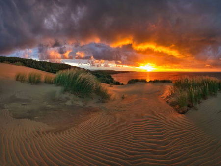 Высота Мюллера