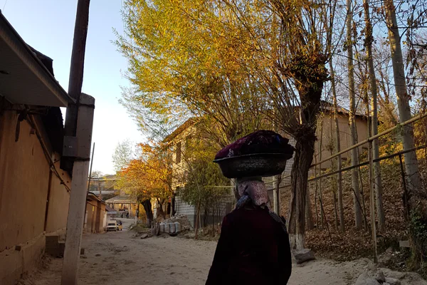 Trip to Uzbek village and Solar Institute. — photo 3, Tashkent | Pokataem