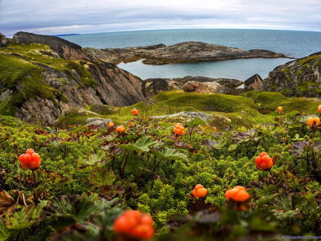 Териберский маяк