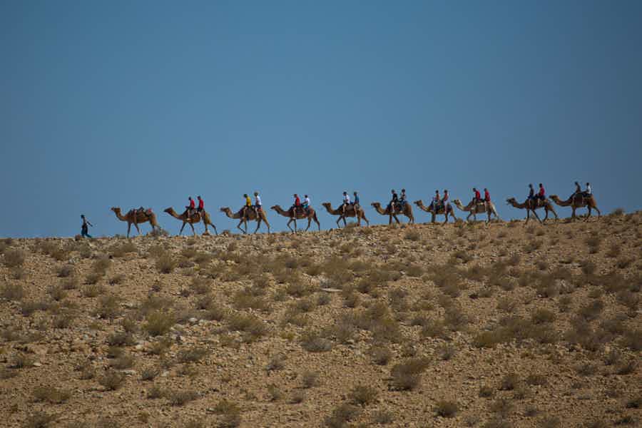 Пустыня Негев — безмолвное очарование, тайны, сюрпризы - фото 3
