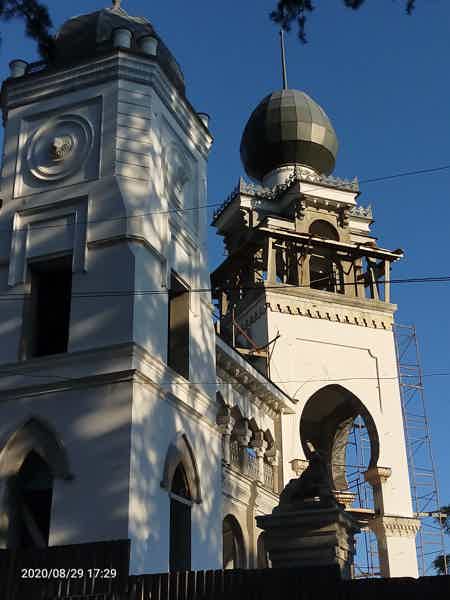 Обзорная  экскурсия по Сухуму столице Абхазии  - фото 2