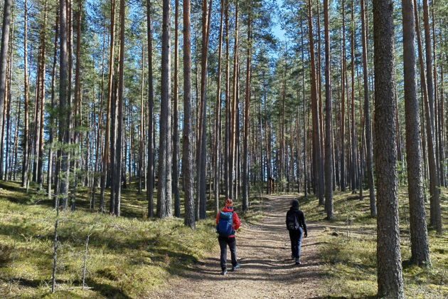 Виды Семейная прогулка по ледниковой гряде