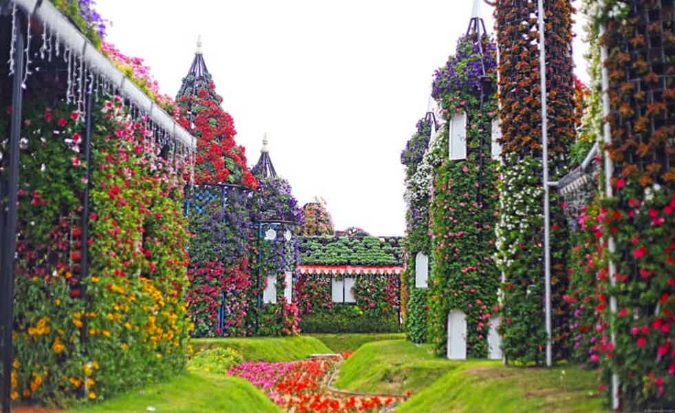 Парк цветов Miracle Garden и всемирная ярмарка Global Village из Фуджейры - фото 4