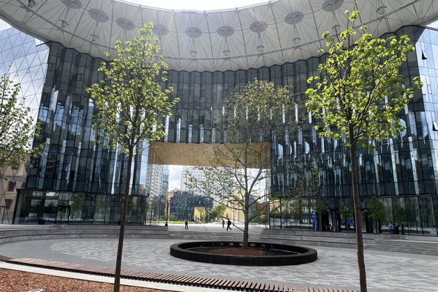 Виды Квест-экскурсия «Призраки Немецкой слободы»