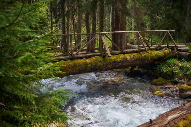 Виды Фотопутешествие из Кисловодска в Кавказскую Швейцарию - Тебердинское ущелье